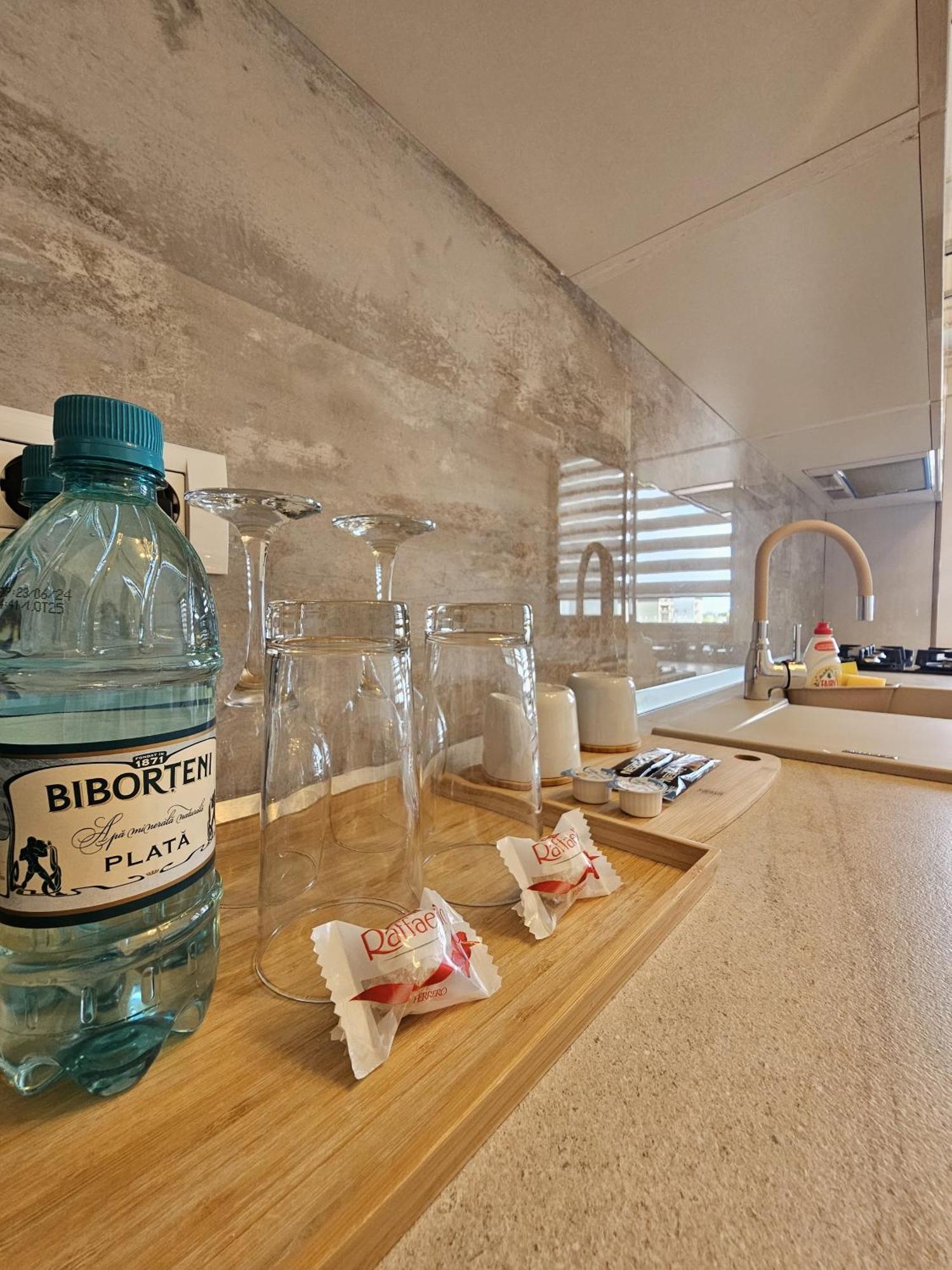 Sofia Cozy Apartment - Underground Private Parking 布加勒斯特 外观 照片
